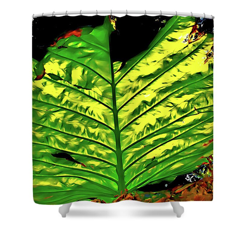 Elephant Ear Plant Shower Curtain featuring the photograph Abstract Elephant Ear Plant by Gina O'Brien
