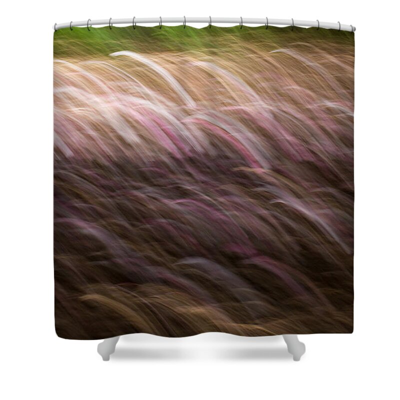 Clare Bambers Shower Curtain featuring the photograph Abstract Magnolias 2 by Clare Bambers