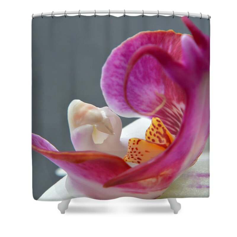 Orchid Shower Curtain featuring the photograph Abstract Orchid Heart. by Terence Davis