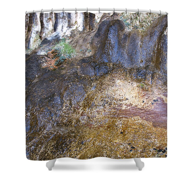 Color Shower Curtain featuring the photograph Abstraction in Color and Texture from Wet Rock by Karen Foley