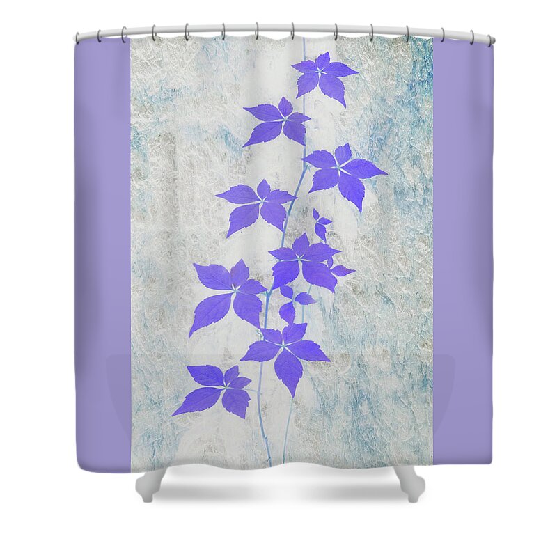 Vine Shower Curtain featuring the photograph Abstractions from Nature - Wild Vine and Bark by Mitch Spence