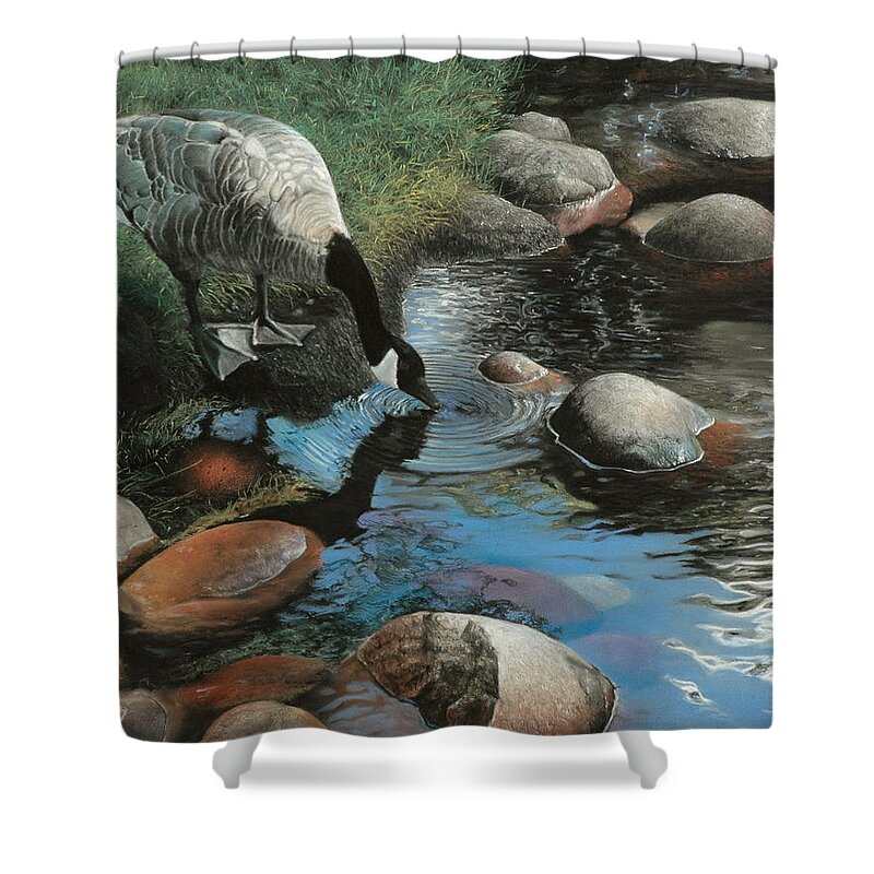 Canadian Geese Shower Curtain featuring the painting Abundance by David Vincenzi