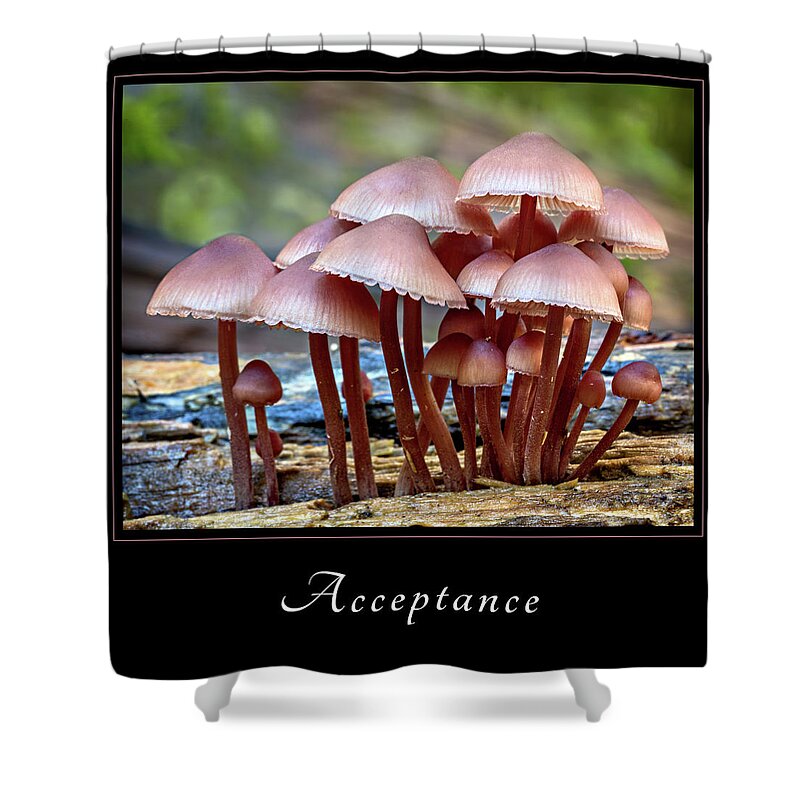 Inspiration Shower Curtain featuring the photograph Acceptance 4 by Mary Jo Allen