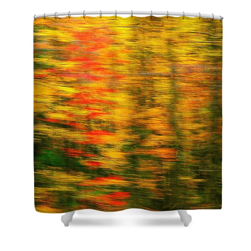 Woods Shower Curtain featuring the photograph Across the Universe by Randy Pollard