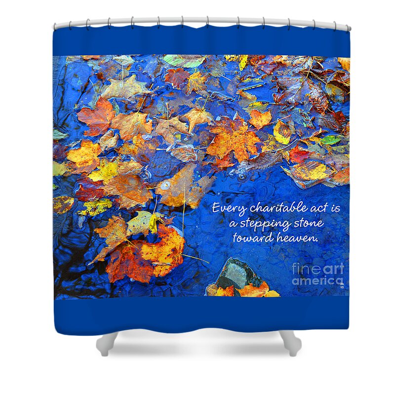 Diane Berry Shower Curtain featuring the photograph Adironack Laughing Water Charity by Diane E Berry