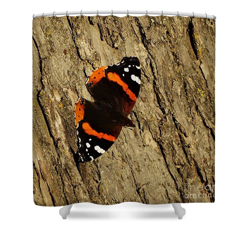 Polygonia Interrogationis Shower Curtain featuring the photograph Admiral Butterfly by J L Zarek