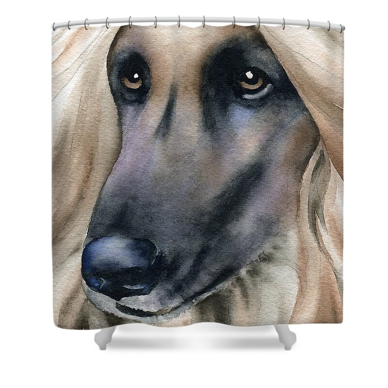 Afghan Shower Curtain featuring the painting Afghan Hound by David Rogers