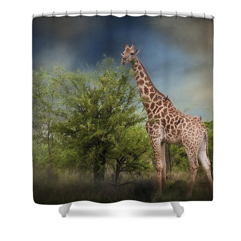 Adventure Shower Curtain featuring the photograph African Giraffe by Maria Coulson