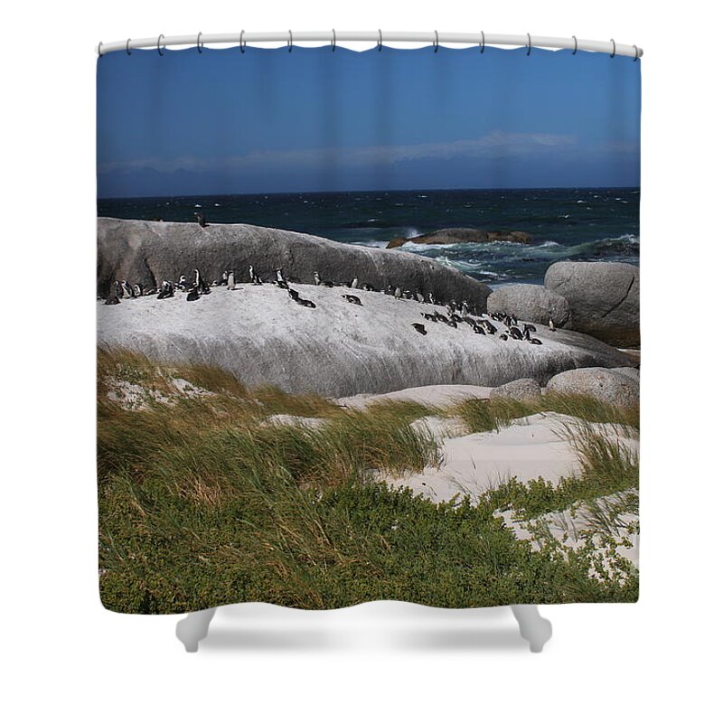 Boulders Shower Curtain featuring the photograph African Penguins by Bev Conover