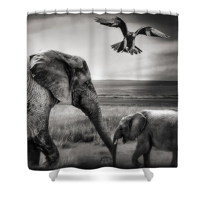 Baby Elephant Shower Curtain featuring the photograph African Playground by Christine Sponchia