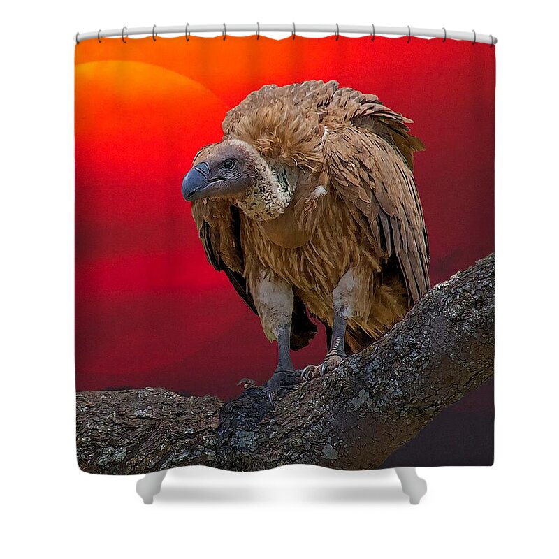 Vulture Shower Curtain featuring the digital art African Vulture At Sunset by Larry Linton