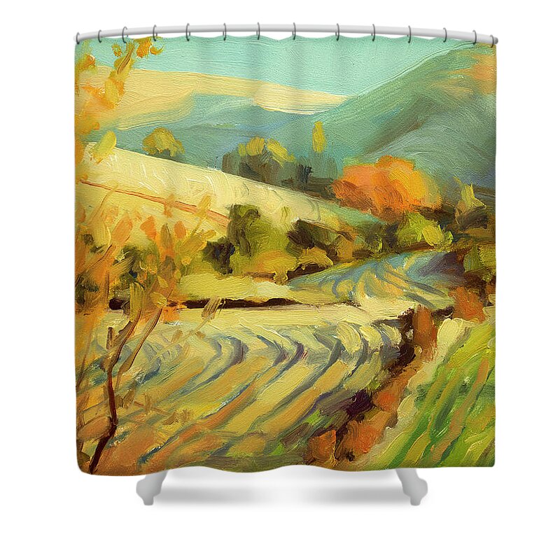 Oregon Abstract Shower Curtains