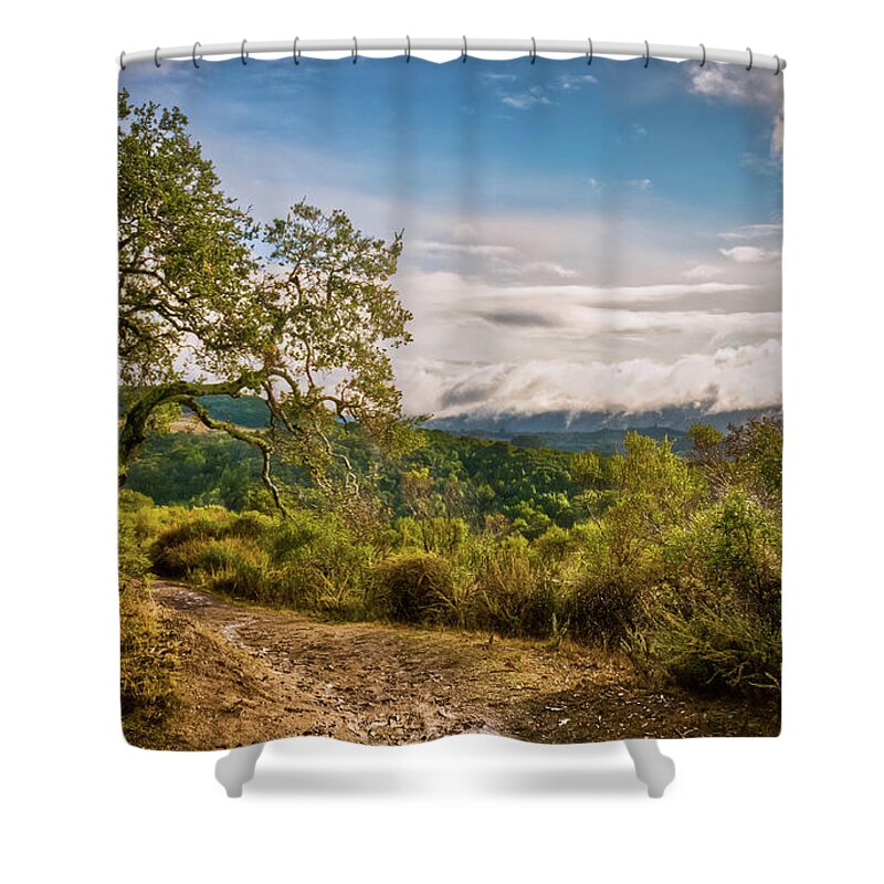 2011 Shower Curtain featuring the photograph After the storm by Dean Birinyi