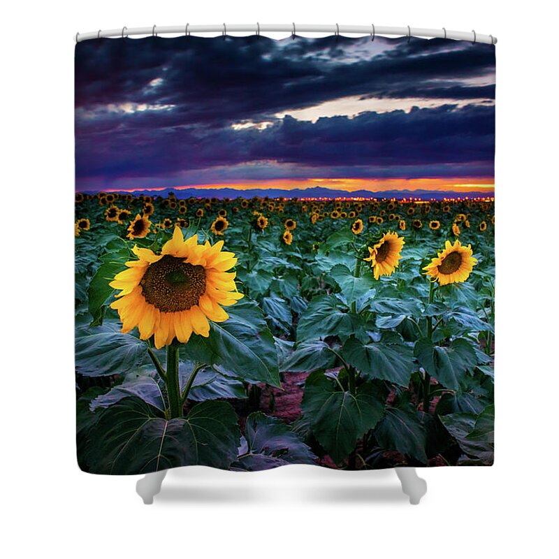 Aster Shower Curtain featuring the photograph After The Storm by John De Bord