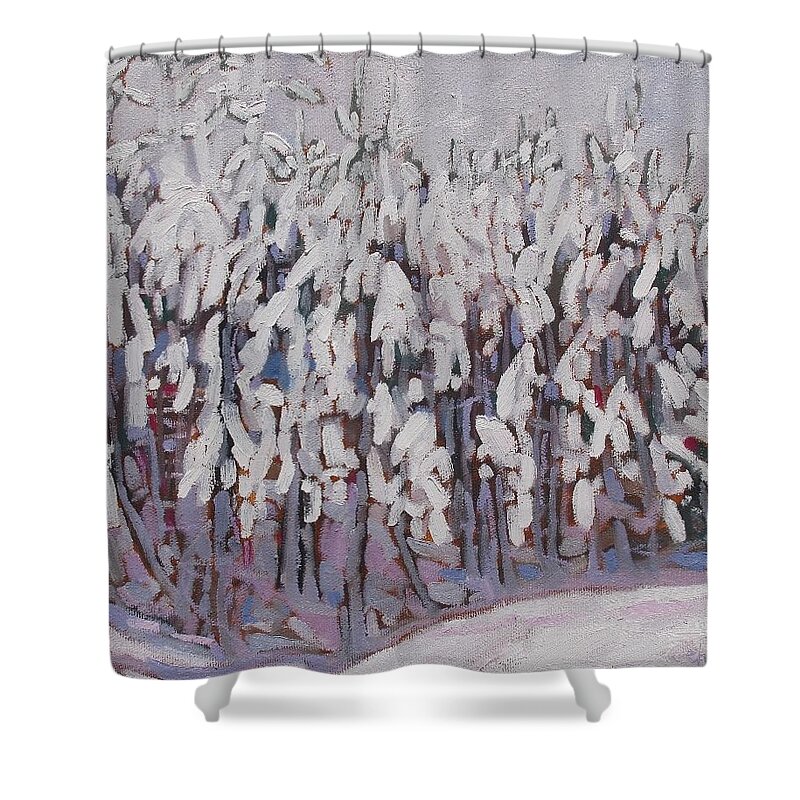 781 Shower Curtain featuring the painting After the Storm by Phil Chadwick