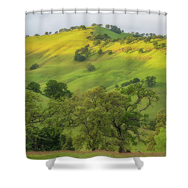 Landscape Shower Curtain featuring the photograph Afternoon Light on Green Hills by Marc Crumpler