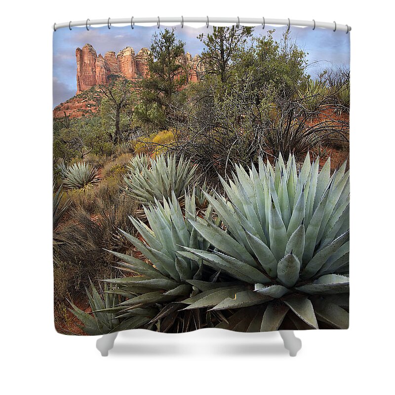 00438930 Shower Curtain featuring the photograph Agave And Coffee Pot Rock Near Sedona by Tim Fitzharris