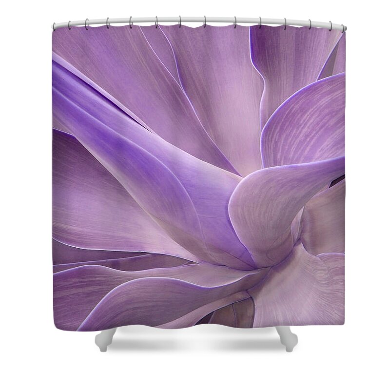 Agave Shower Curtain featuring the photograph Agave Attenuata Abstract 2 by Bel Menpes
