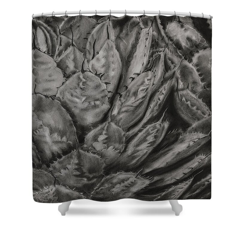 Agave Shower Curtain featuring the drawing Agave Cactus by Sheila Johns