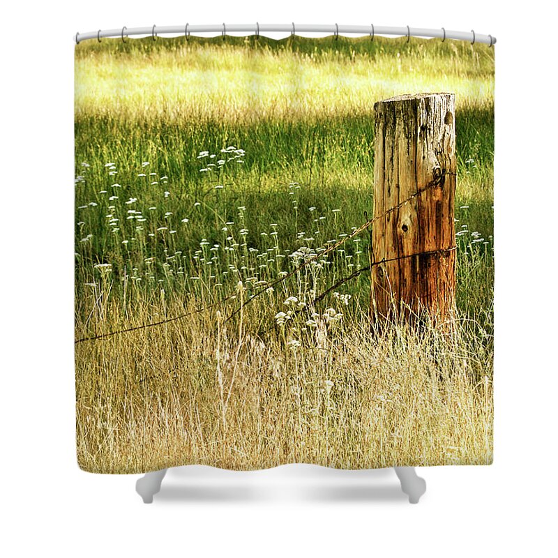 Glow Shower Curtain featuring the photograph Aglow by Melanie Alexandra Price