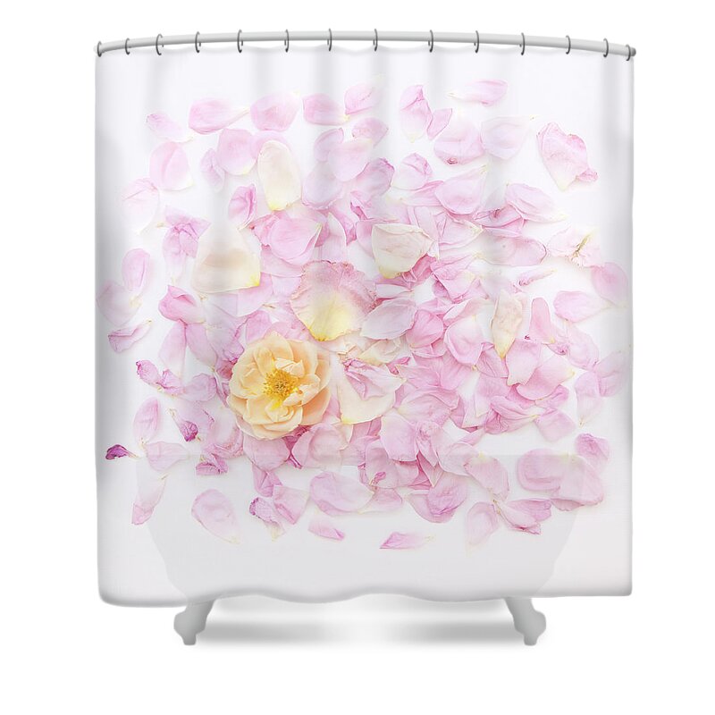 Rose Petal Pillow Shower Curtain featuring the photograph Ah My Love, Ah My Own by Theresa Tahara
