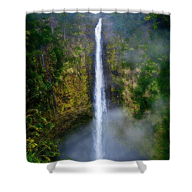 Nature Shower Curtain featuring the photograph Akaka Falls by Christopher Holmes