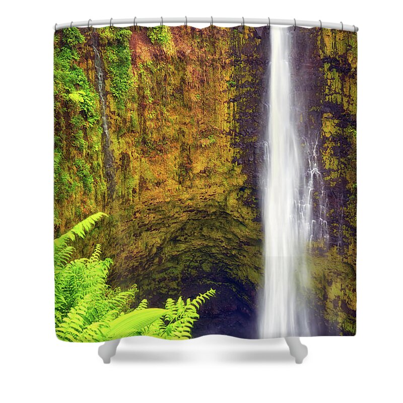 Waterfall Shower Curtain featuring the photograph Akaka Falls by Christopher Johnson