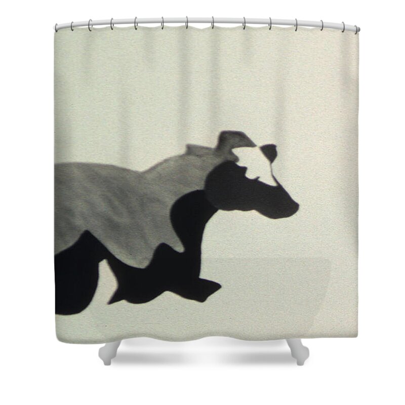 Cow Shower Curtain featuring the painting Ala Holstein I by Fritz Lipp