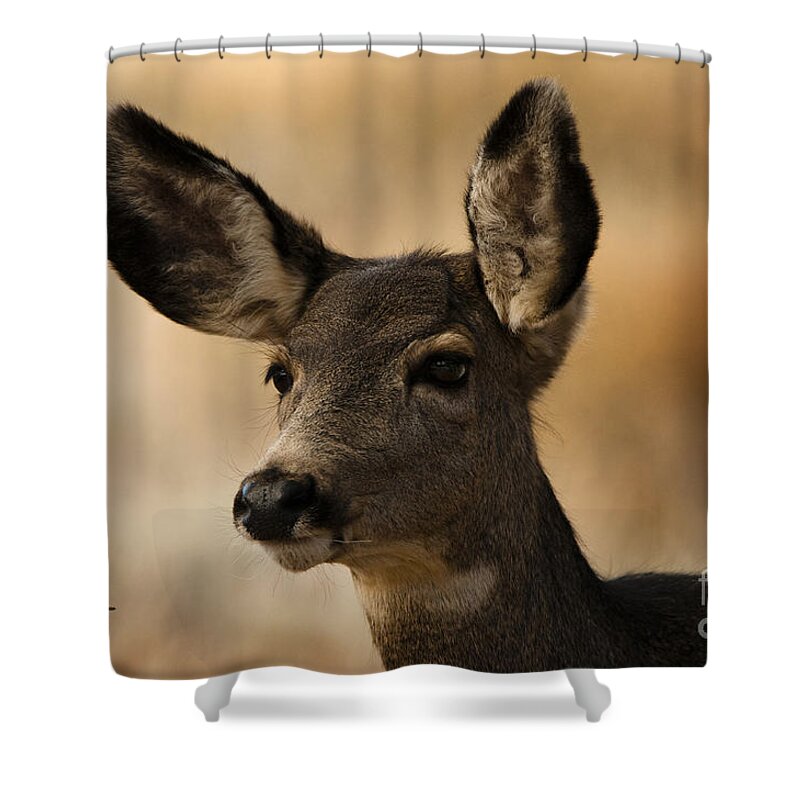 Doe Mule Deer Shower Curtain featuring the photograph Alert by Bon and Jim Fillpot