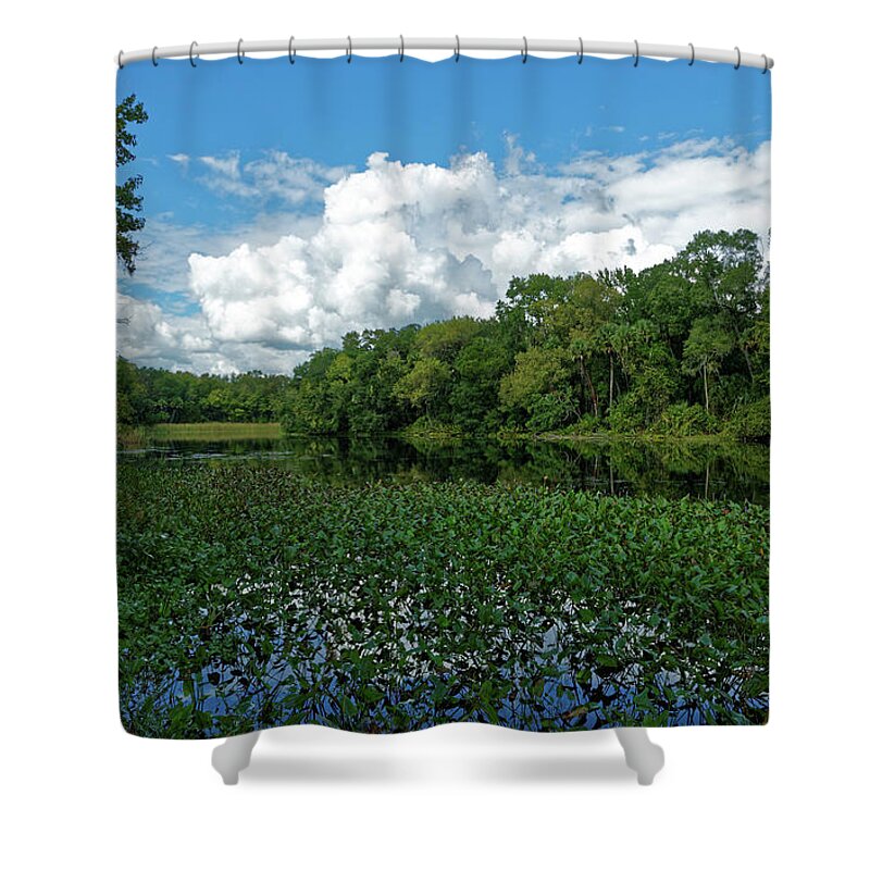 Alexander Springs Pool Shower Curtain featuring the photograph Alexander Springs by Paul Mashburn