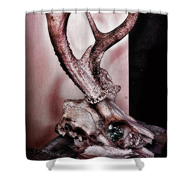  Shower Curtain featuring the photograph Alien by Camille Lopez