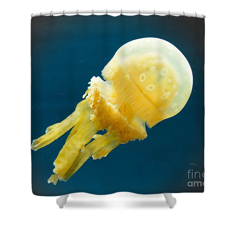 Alien Jelly Shower Curtain featuring the photograph Alien Jelly by Patrick Witz