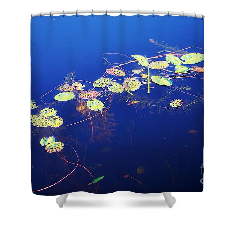 Pond Shower Curtain featuring the photograph All in a row by Merle Grenz