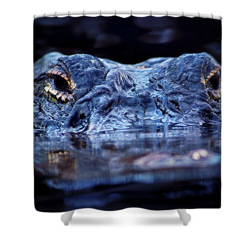 Alligator Surfacing Shower Curtain by Mark Andrew Thomas - Mark