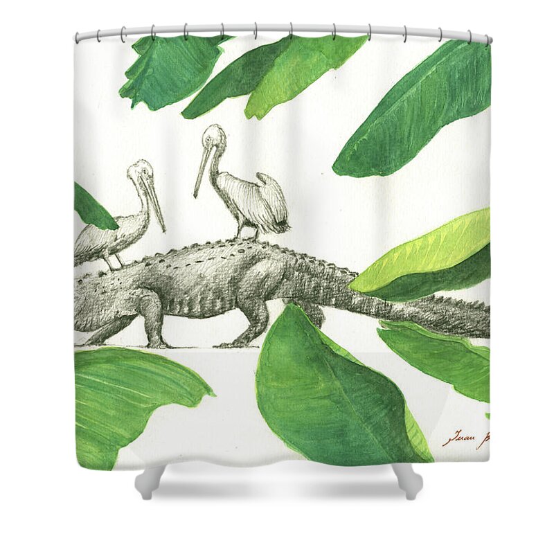 Alligator Art Shower Curtain featuring the painting Alligator with pelicans by Juan Bosco