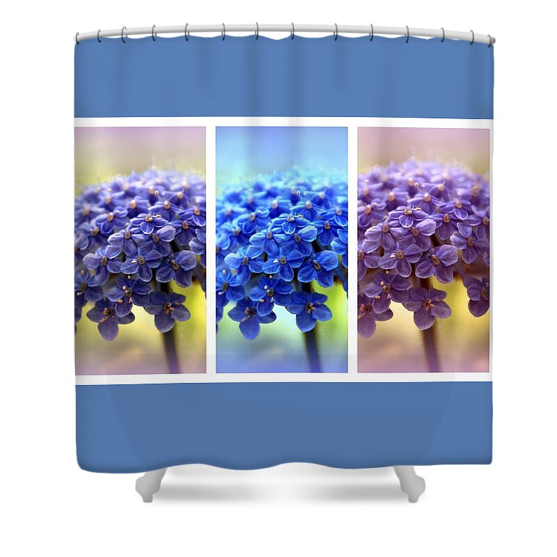 Allium Shower Curtain featuring the photograph Allium Triptych by Jessica Jenney