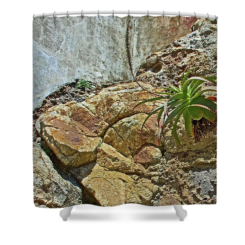 Aloe On The Rocks Near Lighthouse In Point Reyes National Seashore Shower Curtain featuring the photograph Aloe on the Rocks near Lighthouse in Point Reyes National Seashore, California by Ruth Hager