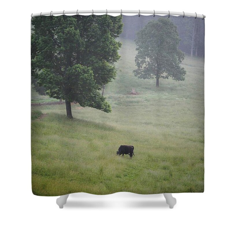 Meadow Shower Curtain featuring the photograph Alone In The Meadow by Eric Liller
