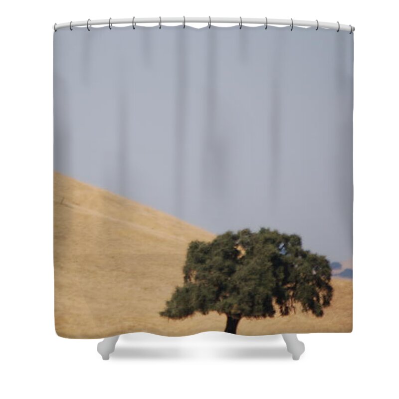 Tree Shower Curtain featuring the photograph Alone by Maria Aduke Alabi