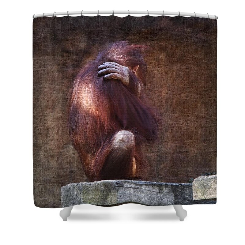 Orangutan Shower Curtain featuring the photograph Alone by Sharon Jones