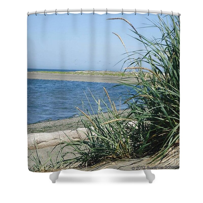 Water Shower Curtain featuring the photograph Along Dungeness Spit by Suzanne Schaefer