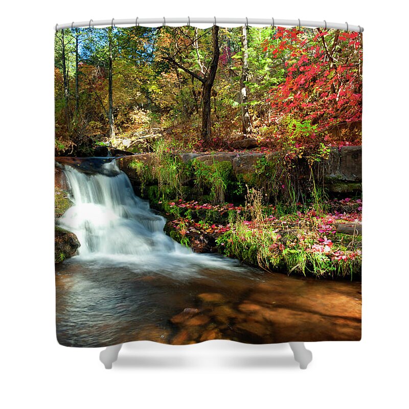 Autumn Shower Curtain featuring the photograph Along the Horton Trail by Anthony Citro