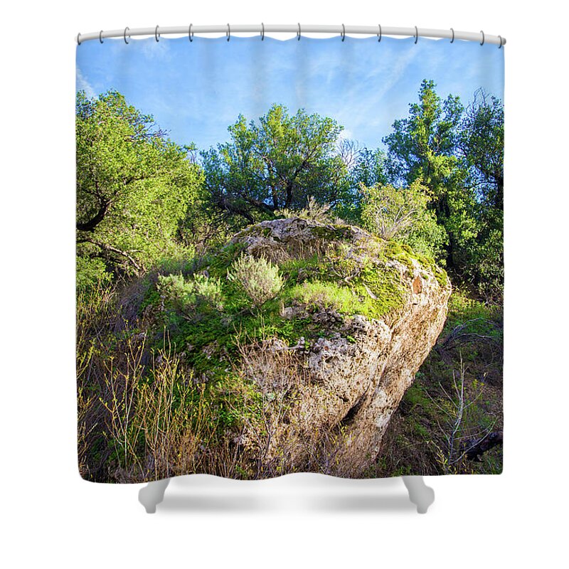 Spring Shower Curtain featuring the photograph Along the Las Llajas Trail in Spring by Lynn Bauer