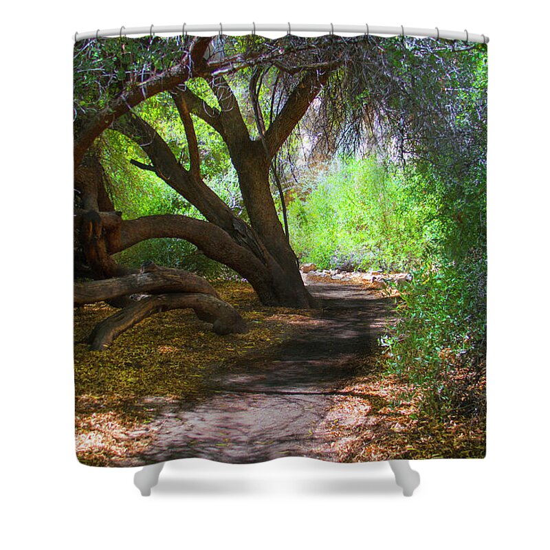Path Shower Curtain featuring the photograph Along The Path by Joseph Noonan