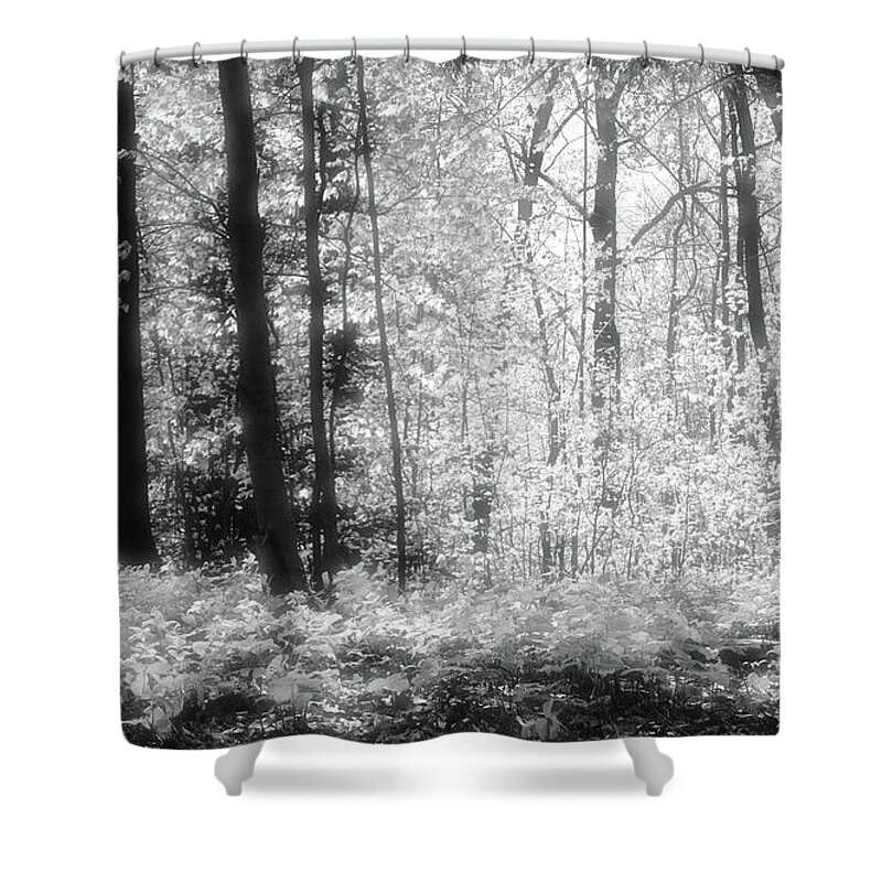 Abstract Shower Curtain featuring the photograph Along The Top BW by Lyle Crump