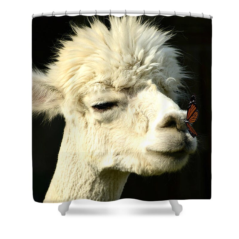 Alpaca Shower Curtain featuring the photograph Alpaca Meets Butterfly by Ally White