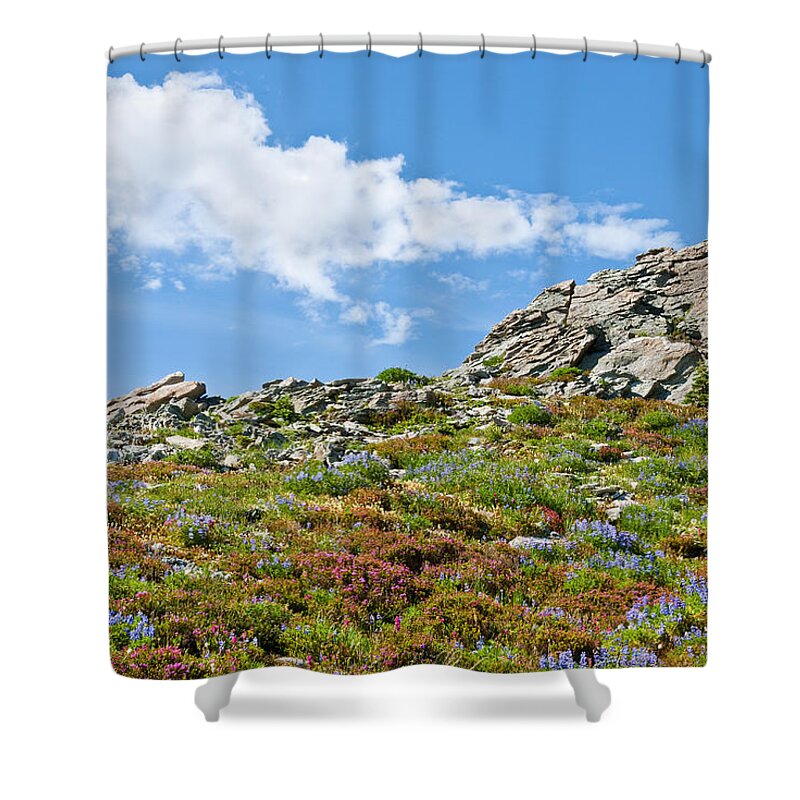 Alpine Shower Curtain featuring the photograph Alpine Rock Garden by Jeff Goulden