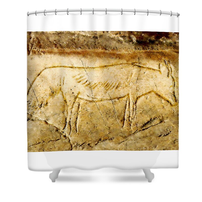 Cave Fox Shower Curtain featuring the painting Altxerri Cave Fox by Weston Westmoreland