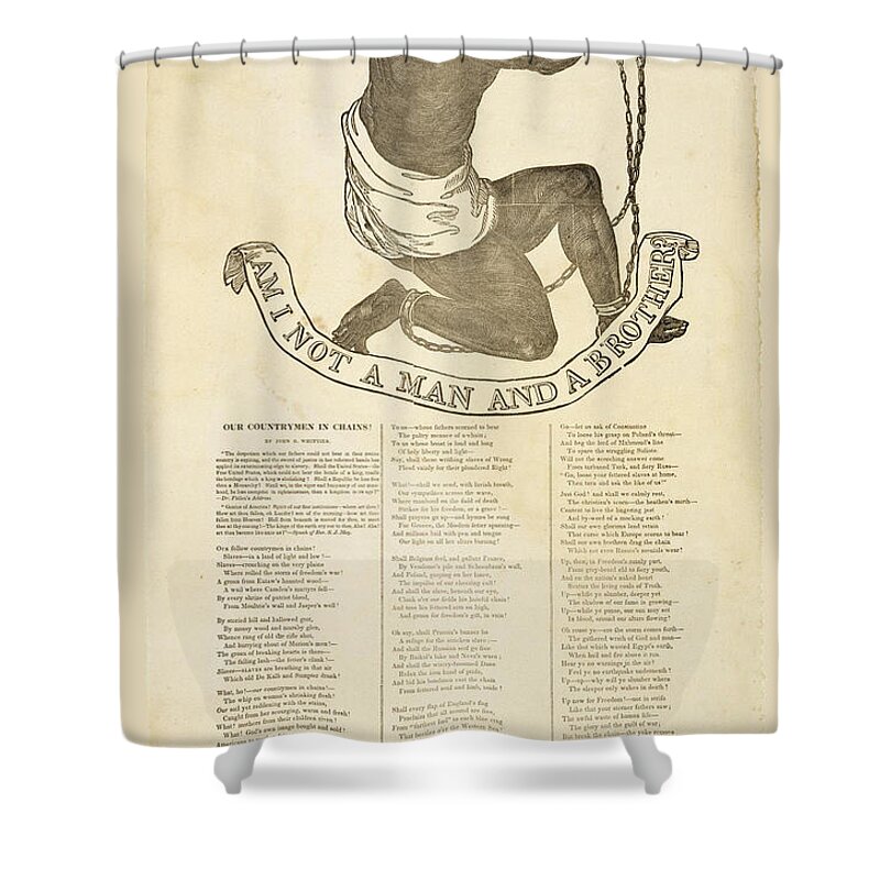 Unknown American Shower Curtain featuring the drawing Am I Not a Man and a Brother? by Unknown American