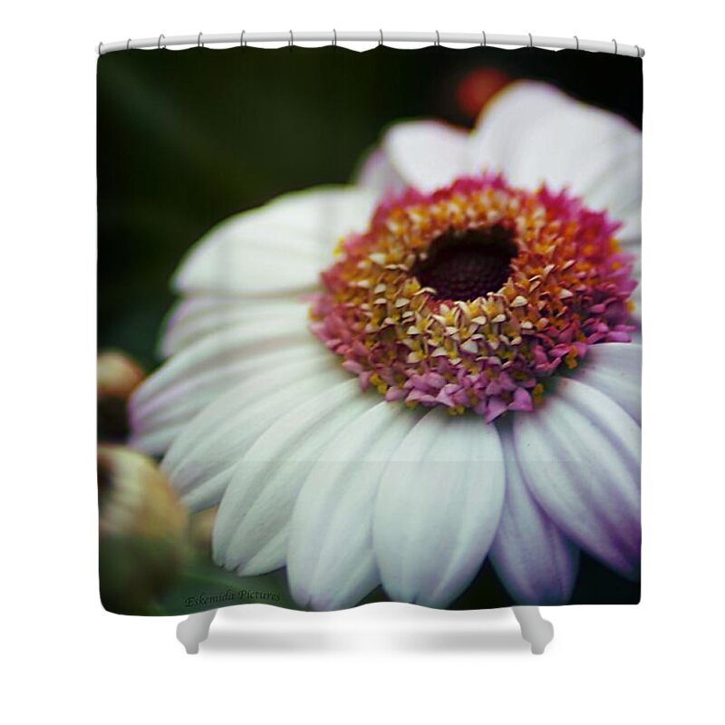 Landscape Shower Curtain featuring the photograph Amazing heart. by Eskemida Pictures